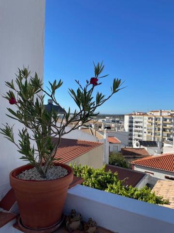Casa Alegria - Ocean View Apartment - Centre Lagos Luaran gambar